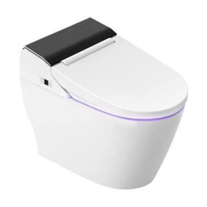 Smart Toilet